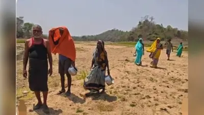 नवादा: भीषण जल संकट से मेसकौर बेहाल, सूख गईं नदियां; किसान और पशुपालक परेशान